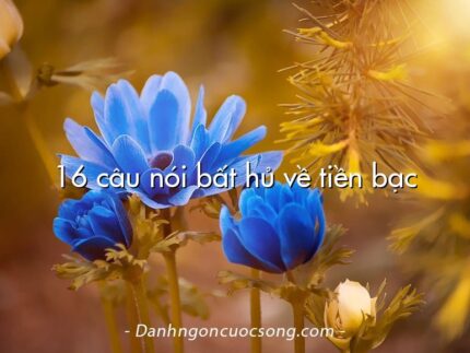 16 câu nói bất hủ về tiền bạc