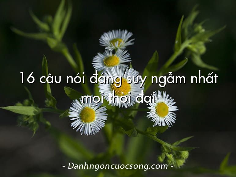16 câu nói đáng suy ngẫm nhất mọi thời đại