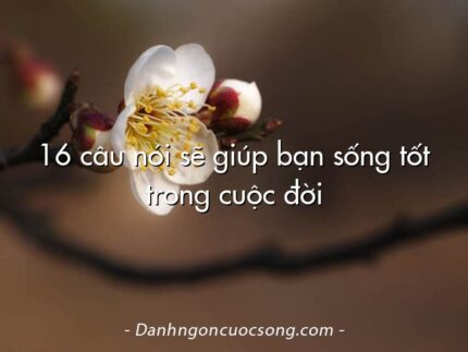 16 câu nói sẽ giúp bạn sống tốt trong cuộc đời