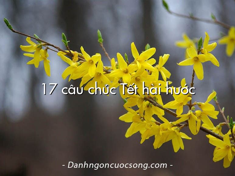 17 câu chúc Tết hài hước