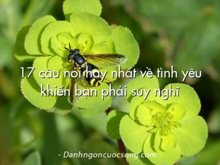 17 câu nói hay nhất về tình yêu khiến bạn phải suy nghĩ