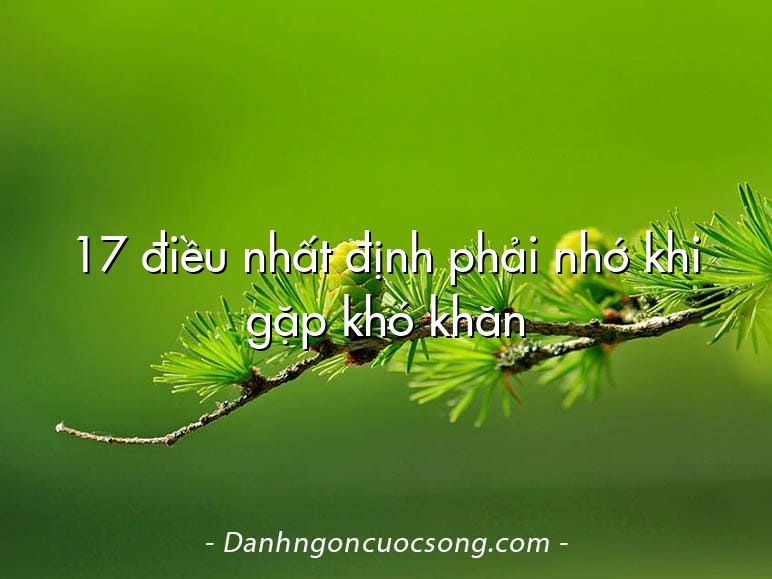 17 điều nhất định phải nhớ khi gặp khó khăn