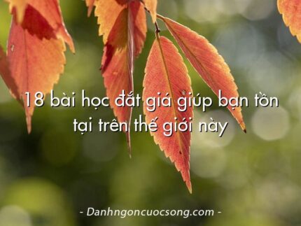 18 bài học đắt giá giúp bạn tồn tại trên thế giới này