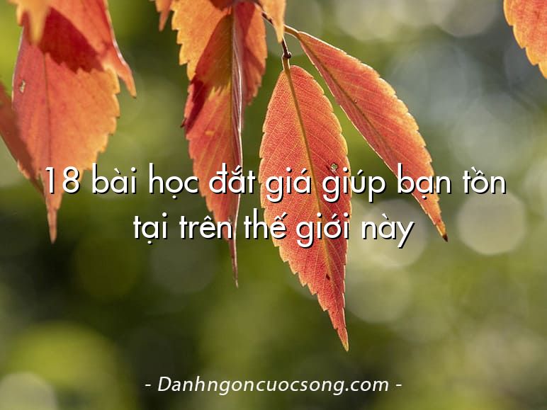 18 bài học đắt giá giúp bạn tồn tại trên thế giới này