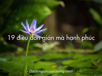 19 điều đơn giản mà hạnh phúc
