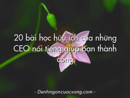20 bài học hữu ích của những CEO nổi tiếng giúp bạn thành công