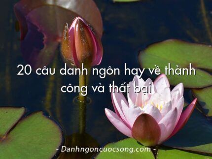20 câu danh ngôn hay về thành công và thất bại