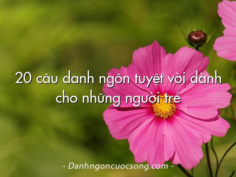 20 câu danh ngôn tuyệt vời dành cho những người trẻ