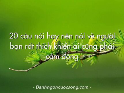 20 câu nói hay nên nói về người bạn rất thích khiến ai cũng phải cảm động