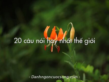20 câu nói hay nhất thế giới