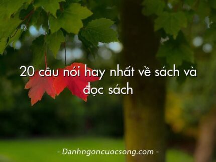 20 câu nói hay nhất về sách và đọc sách