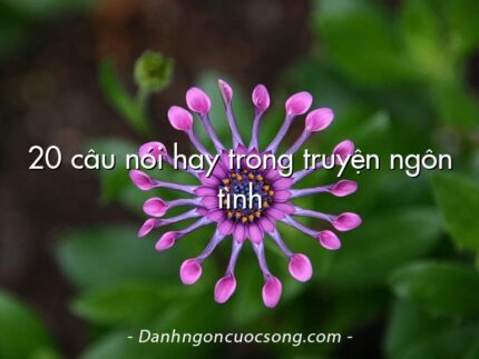 20 câu nói hay trong truyện ngôn tình