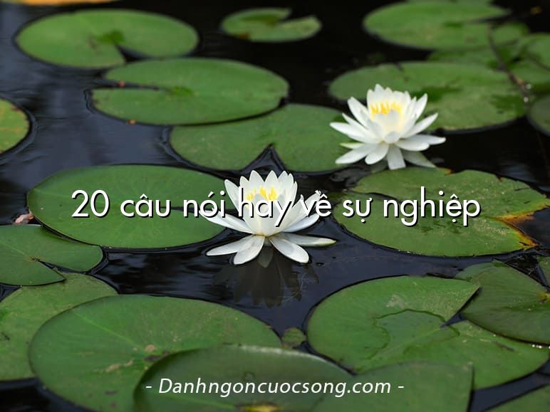 20 câu nói hay về sự nghiệp