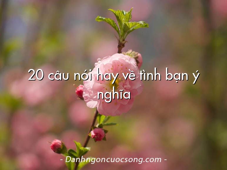 20 câu nói hay về tình bạn ý nghĩa