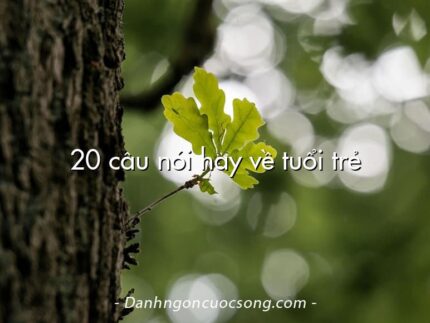 20 câu nói hay về tuổi trẻ