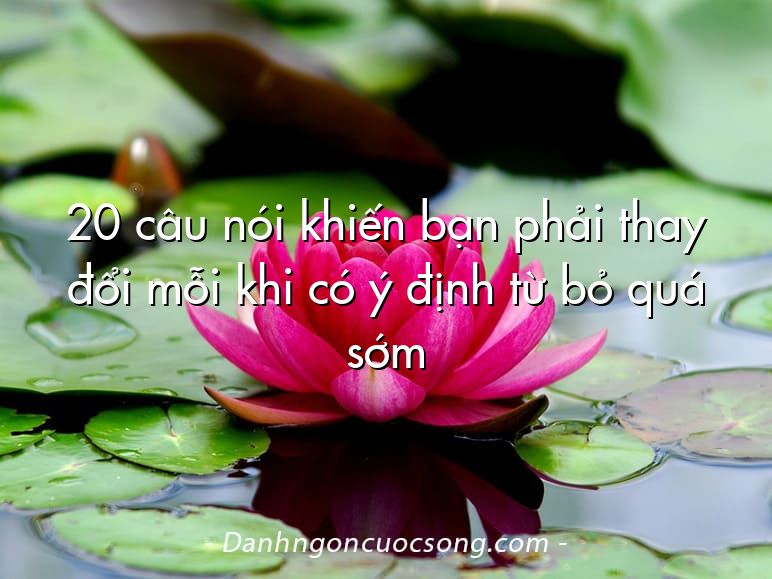 20 câu nói khiến bạn phải thay đổi mỗi khi có ý định từ bỏ quá sớm