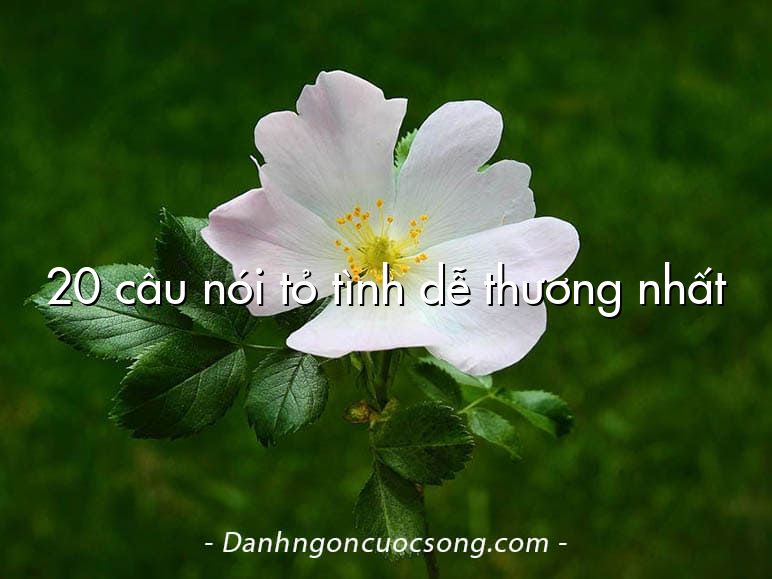 20 câu nói tỏ tình dễ thương nhất