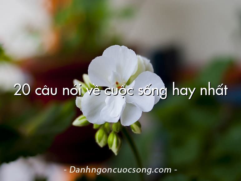 20 câu nói về cuộc sống hay nhất