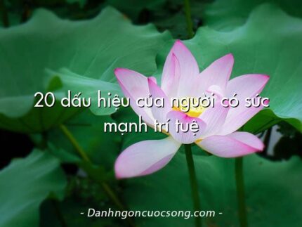20 dấu hiệu của người có sức mạnh trí tuệ