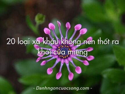 20 loại xà khẩu không nên thốt ra khỏi cửa miệng