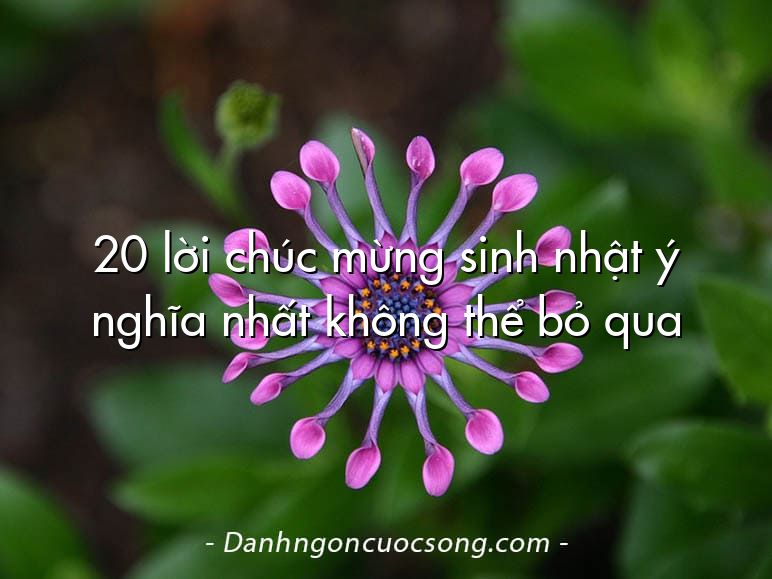 20 lời chúc mừng sinh nhật ý nghĩa nhất không thể bỏ qua