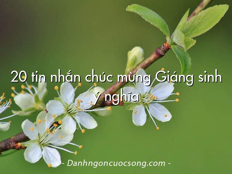 20 tin nhắn chúc mừng Giáng sinh ý nghĩa