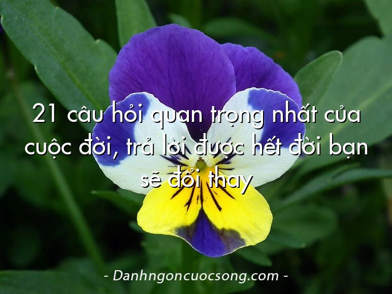 21 câu hỏi quan trọng nhất của cuộc đời, trả lời được hết đời bạn sẽ đổi thay