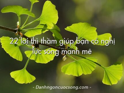 22 lời thì thầm giúp bạn có nghị lực sống mạnh mẽ