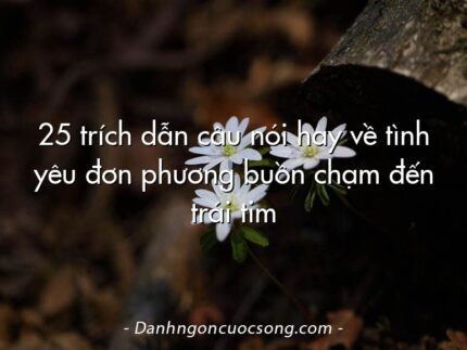 25 trích dẫn câu nói hay về tình yêu đơn phương buồn chạm đến trái tim
