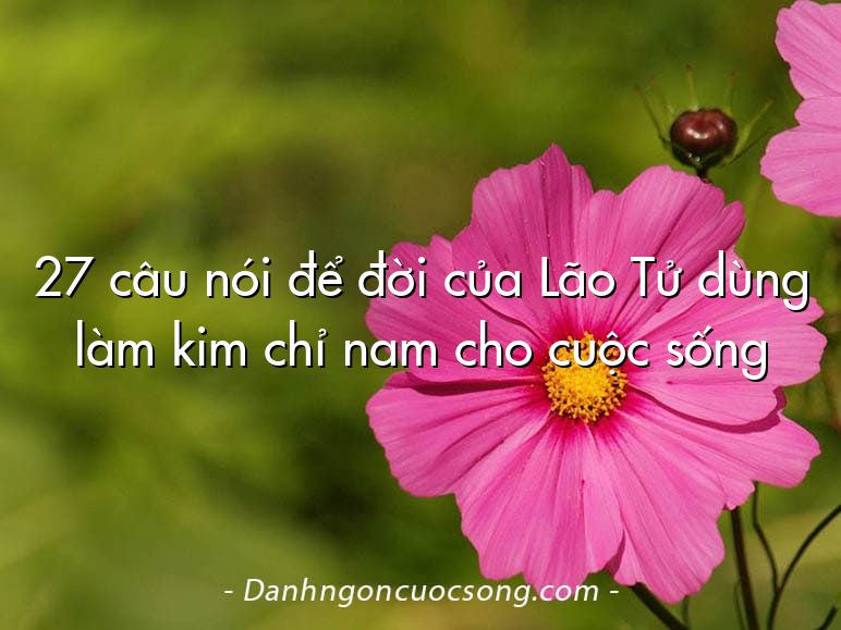 27 câu nói để đời của Lão Tử dùng làm kim chỉ nam cho cuộc sống