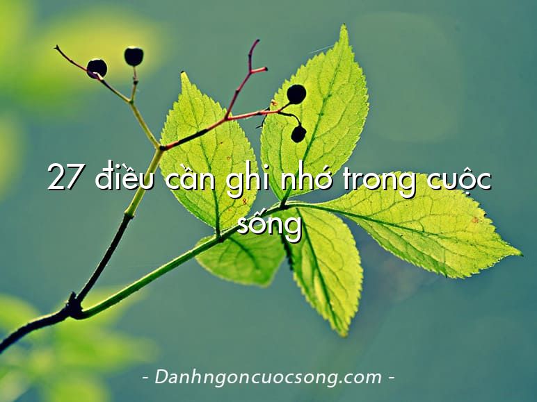 27 điều cần ghi nhớ trong cuộc sống