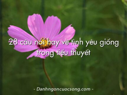 28 câu nói hay về tình yêu giống trong tiểu thuyết