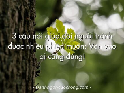 3 câu nói giúp đời người tránh được nhiều phiền muộn: Vận vào ai cũng đúng!
