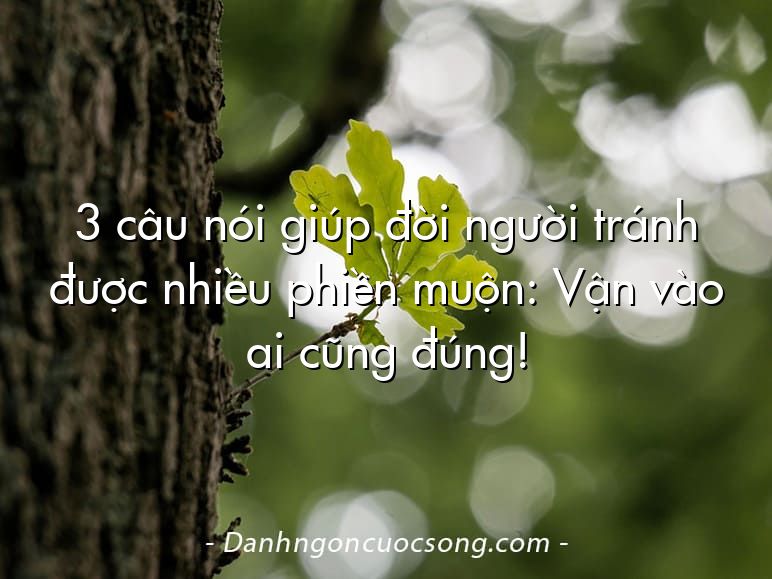 3 câu nói giúp đời người tránh được nhiều phiền muộn: Vận vào ai cũng đúng!