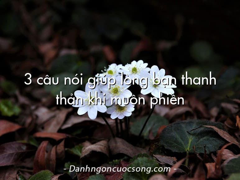 3 câu nói giúp lòng bạn thanh thản khi muộn phiền