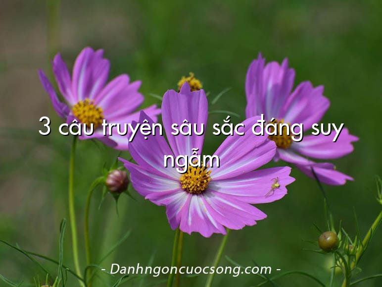 3 câu truyện sâu sắc đáng suy ngẫm