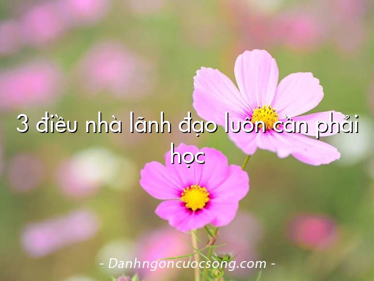3 điều nhà lãnh đạo luôn cần phải học