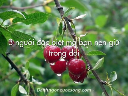 3 người đặc biệt mà bạn nên giữ trong đời