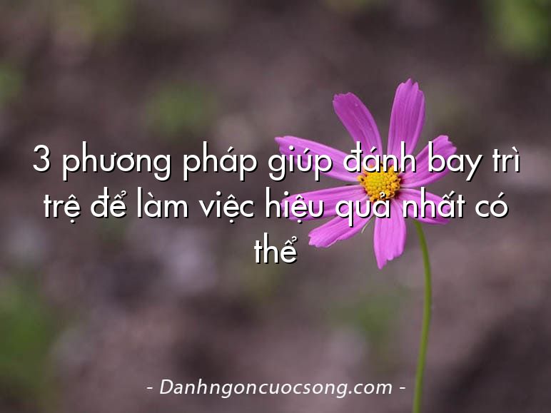 3 phương pháp giúp đánh bay trì trệ để làm việc hiệu quả nhất có thể