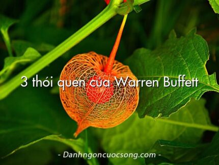 3 thói quen của Warren Buffett