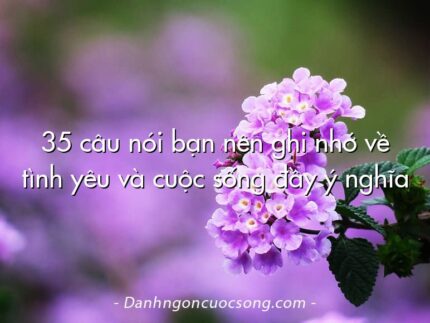 35 câu nói bạn nên ghi nhớ về tình yêu và cuộc sống đầy ý nghĩa