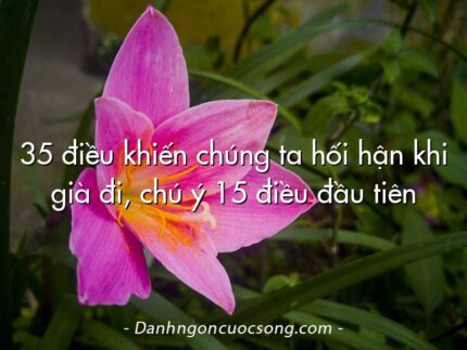 35 điều khiến chúng ta hối hận khi già đi, chú ý 15 điều đầu tiên