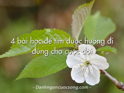 4 bài học để tìm được hướng đi đúng cho cuộc đời