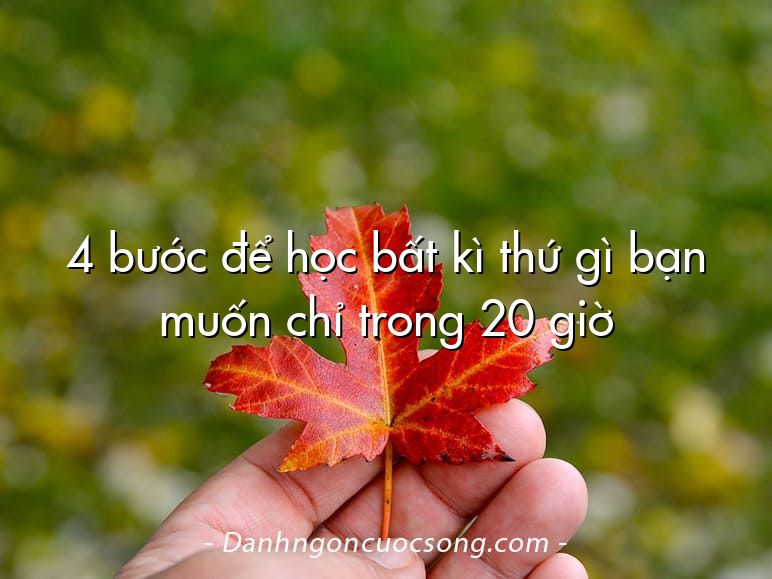 4 bước để học bất kì thứ gì bạn muốn chỉ trong 20 giờ