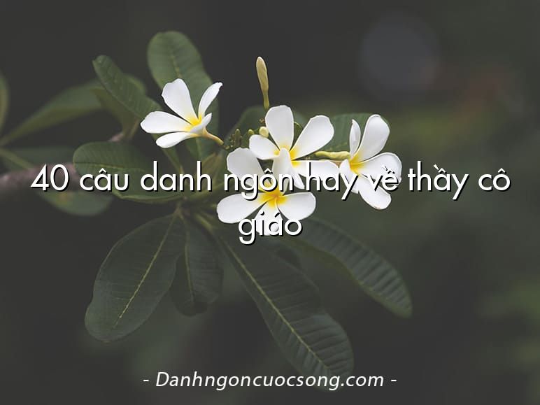 40 câu danh ngôn hay về thầy cô giáo