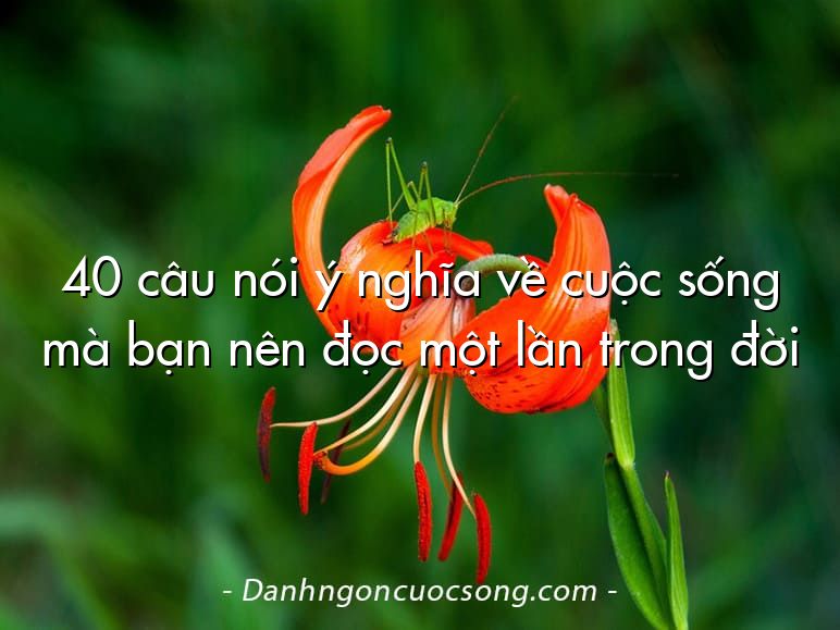 40 câu nói ý nghĩa về cuộc sống mà bạn nên đọc một lần trong đời