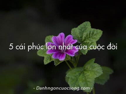 5 cái phúc lớn nhất của cuộc đời