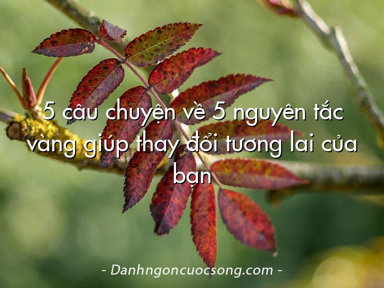 5 câu chuyện về 5 nguyên tắc vàng giúp thay đổi tương lai của bạn