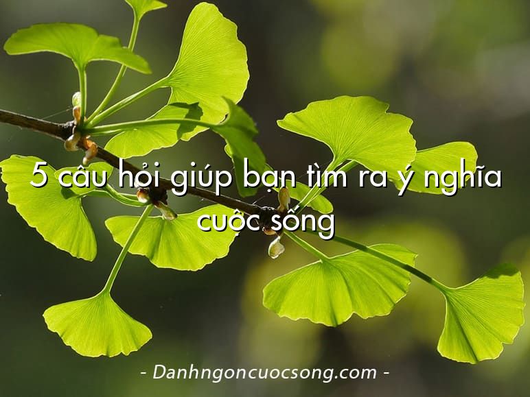 5 câu hỏi giúp bạn tìm ra ý nghĩa cuộc sống