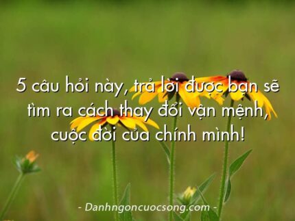 5 câu hỏi này, trả lời được bạn sẽ tìm ra cách thay đổi vận mệnh, cuộc đời của chính mình!
